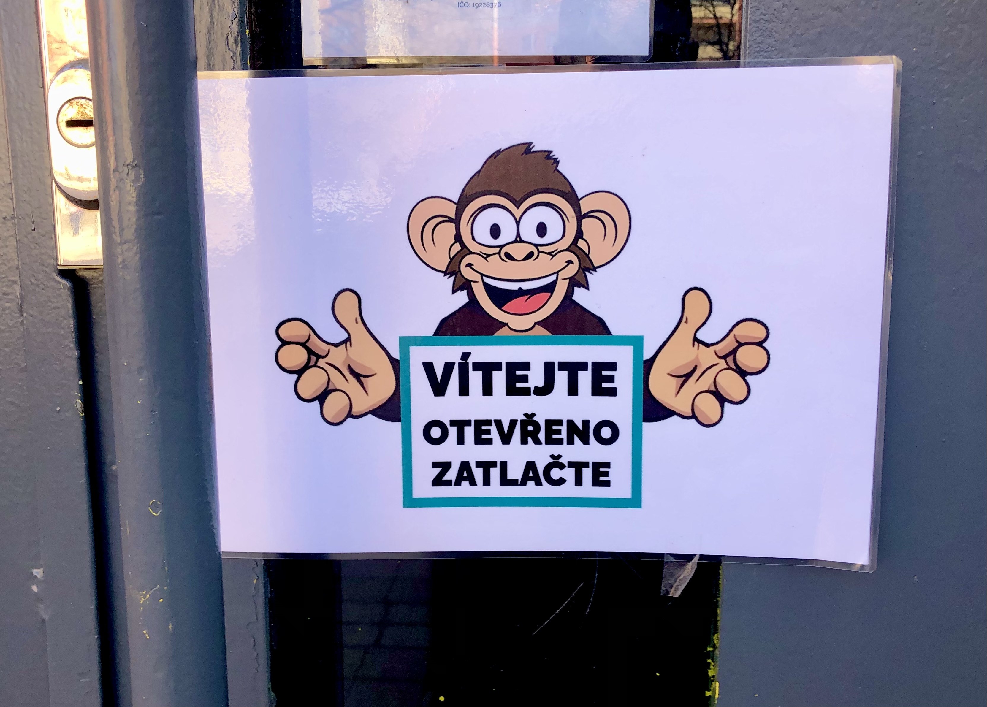 Café Vysmátý opičák foto 2