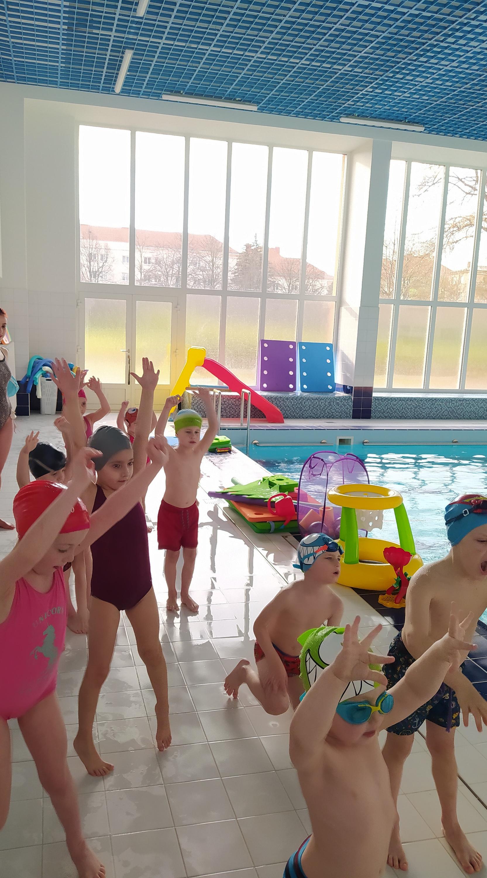 Krokodýlek foto 3