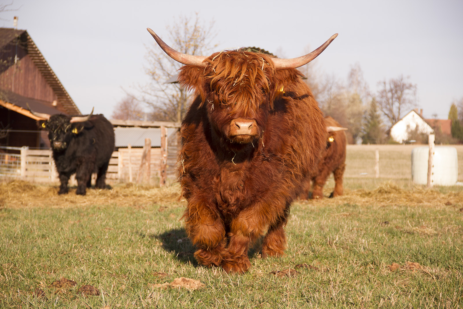 Farma Habřina foto 2