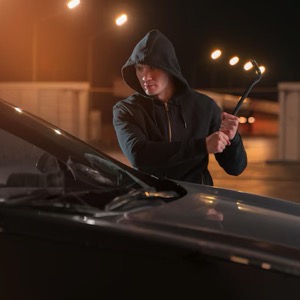 Prodej a montáž elektronického zabezpečení automobilů