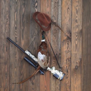 Velkoobchod potřeb pro myslivost