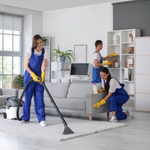 Services for the home and garden