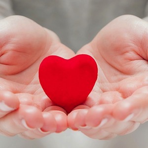 Neziskové organizace