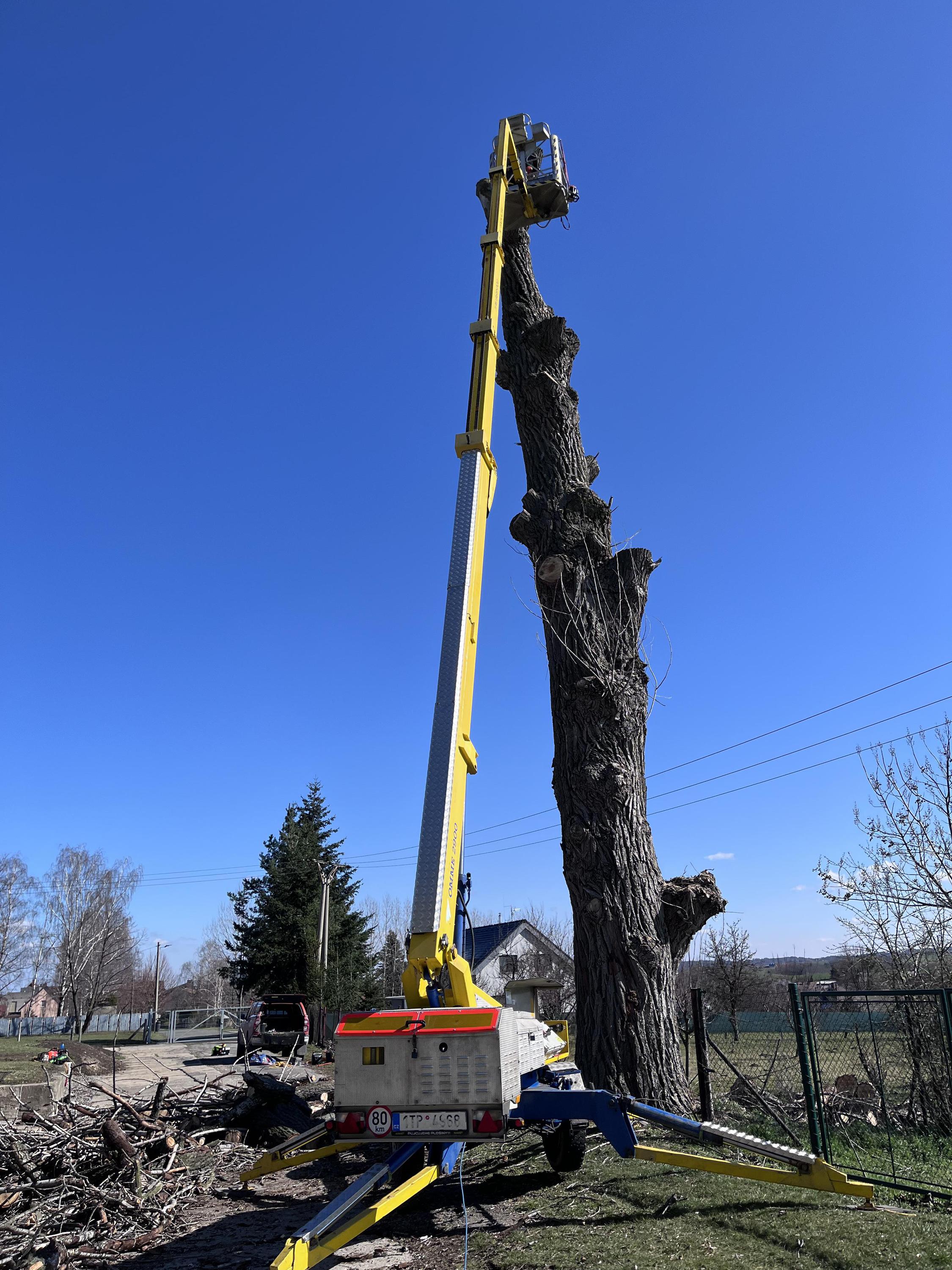 TreeAxe.cz foto 4