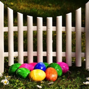 Prodej plastových plotů