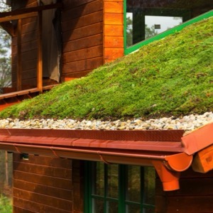 Green roof installers