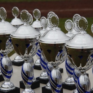 Online sellers of sports trophies and prizes