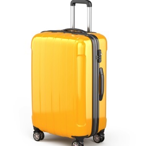 Online luggage sellers