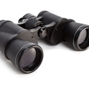 Online sellers of optics and telescopes