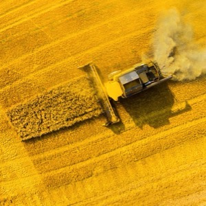 Processing of crop products