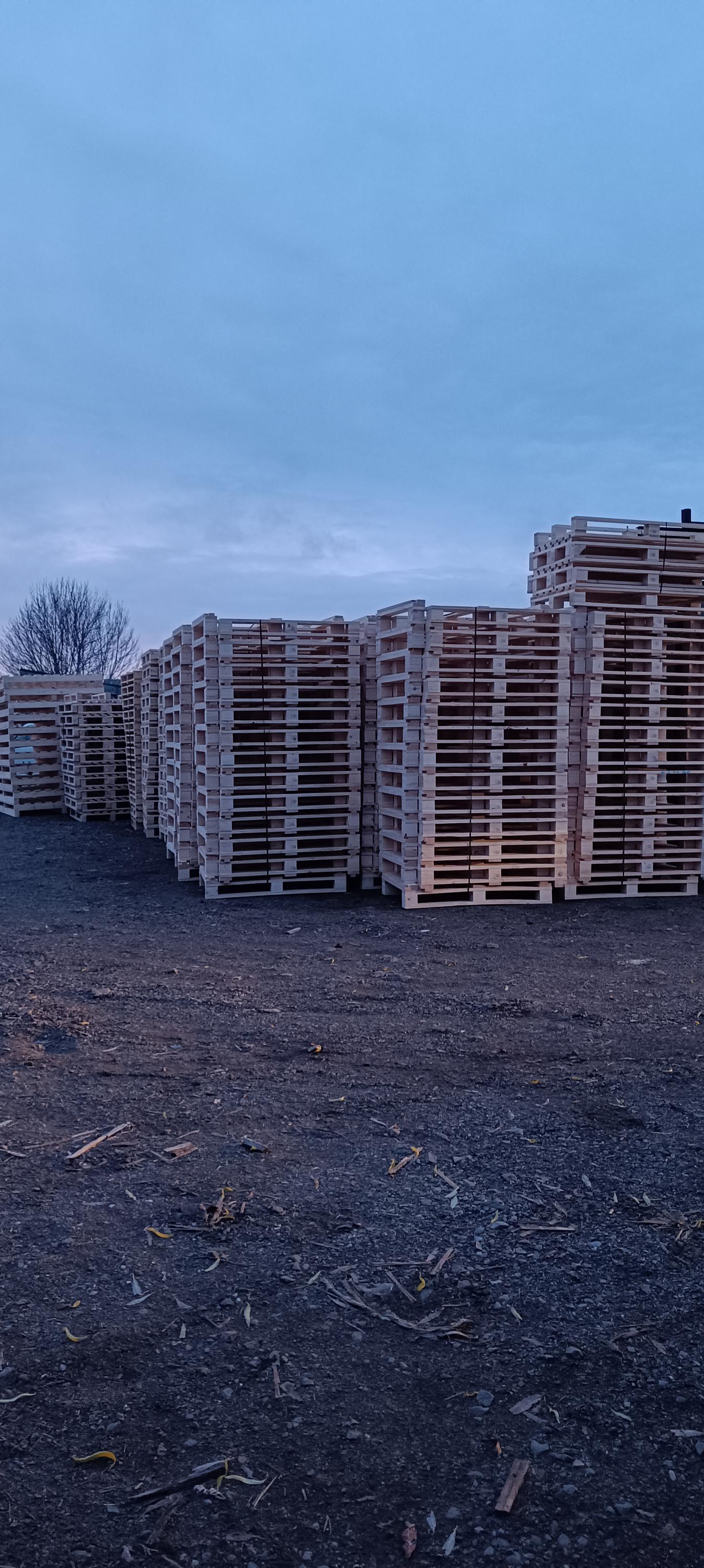 PINEWOOD, s.r.o. foto 5