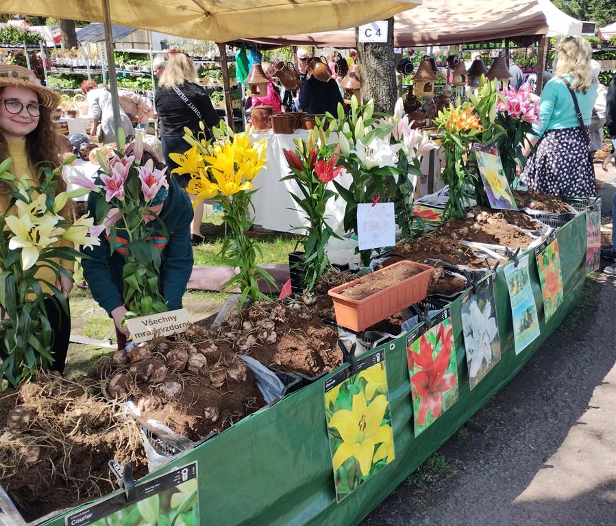 Rožnovská zahrada - Petr Míček