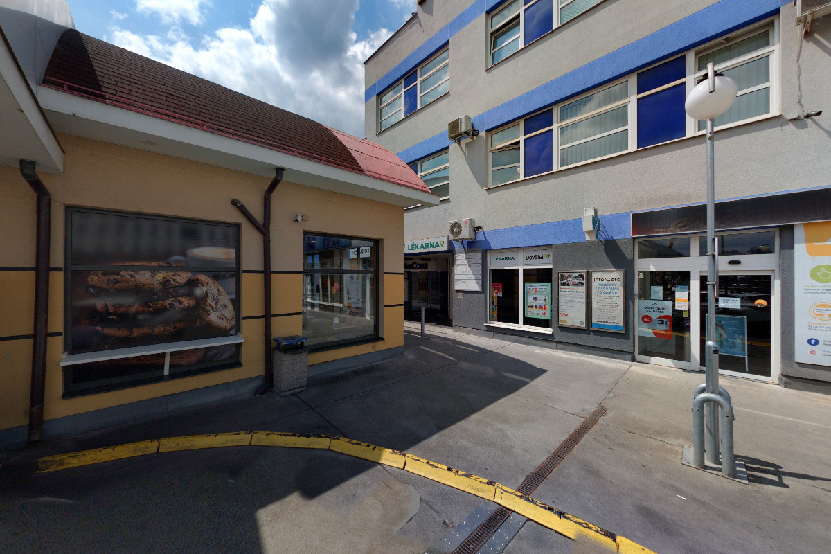 MUDr. Anna Topinková foto 5