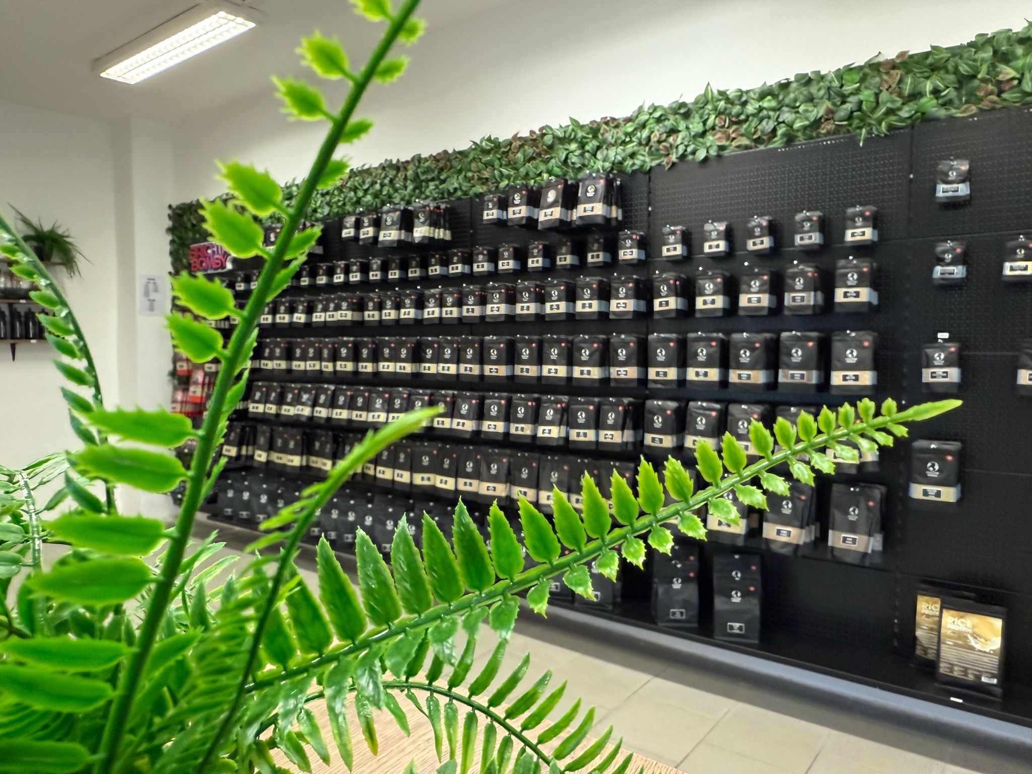 Kratom World foto 4