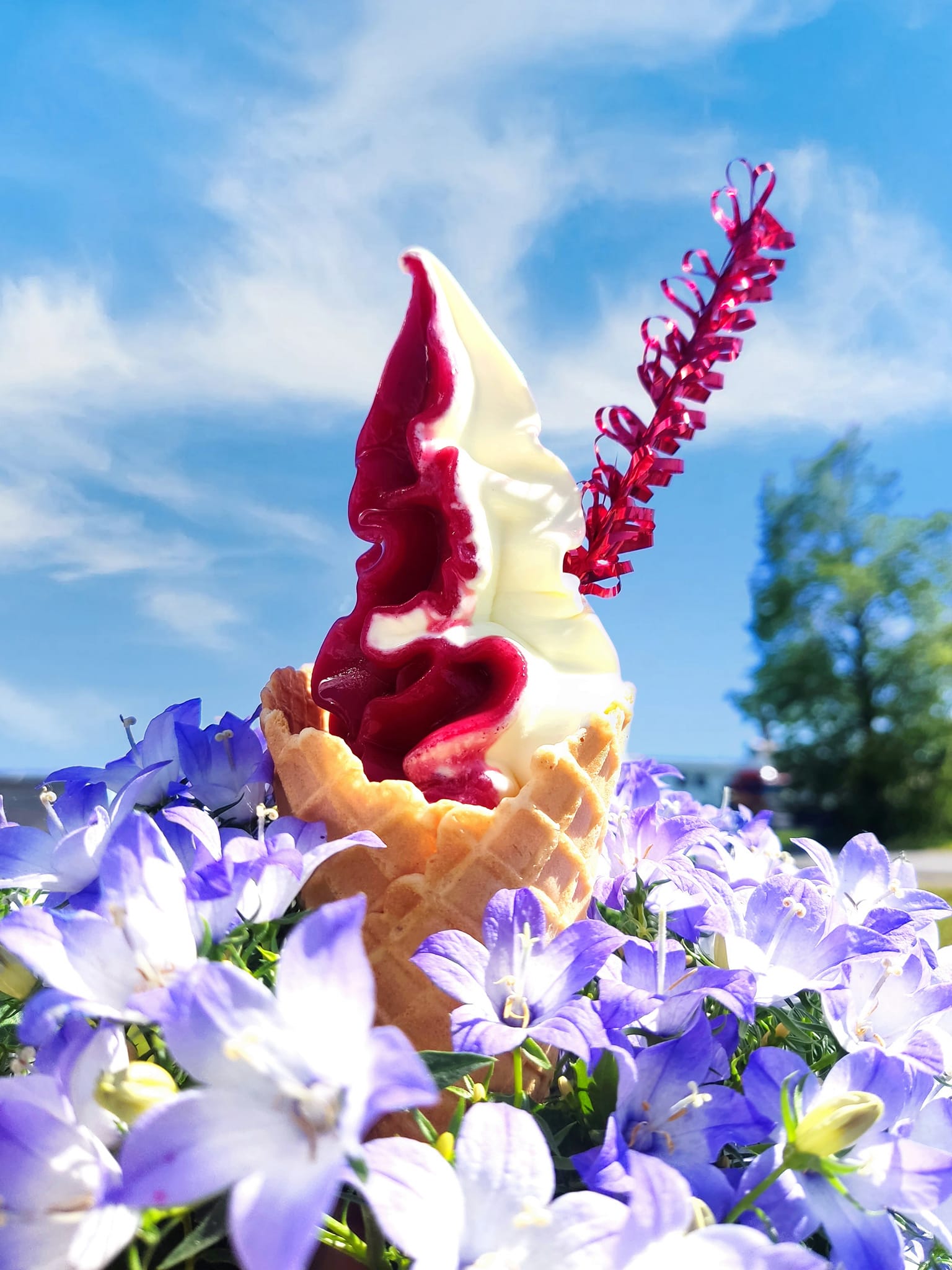 Zmrzlina Extra Lahodná foto 2