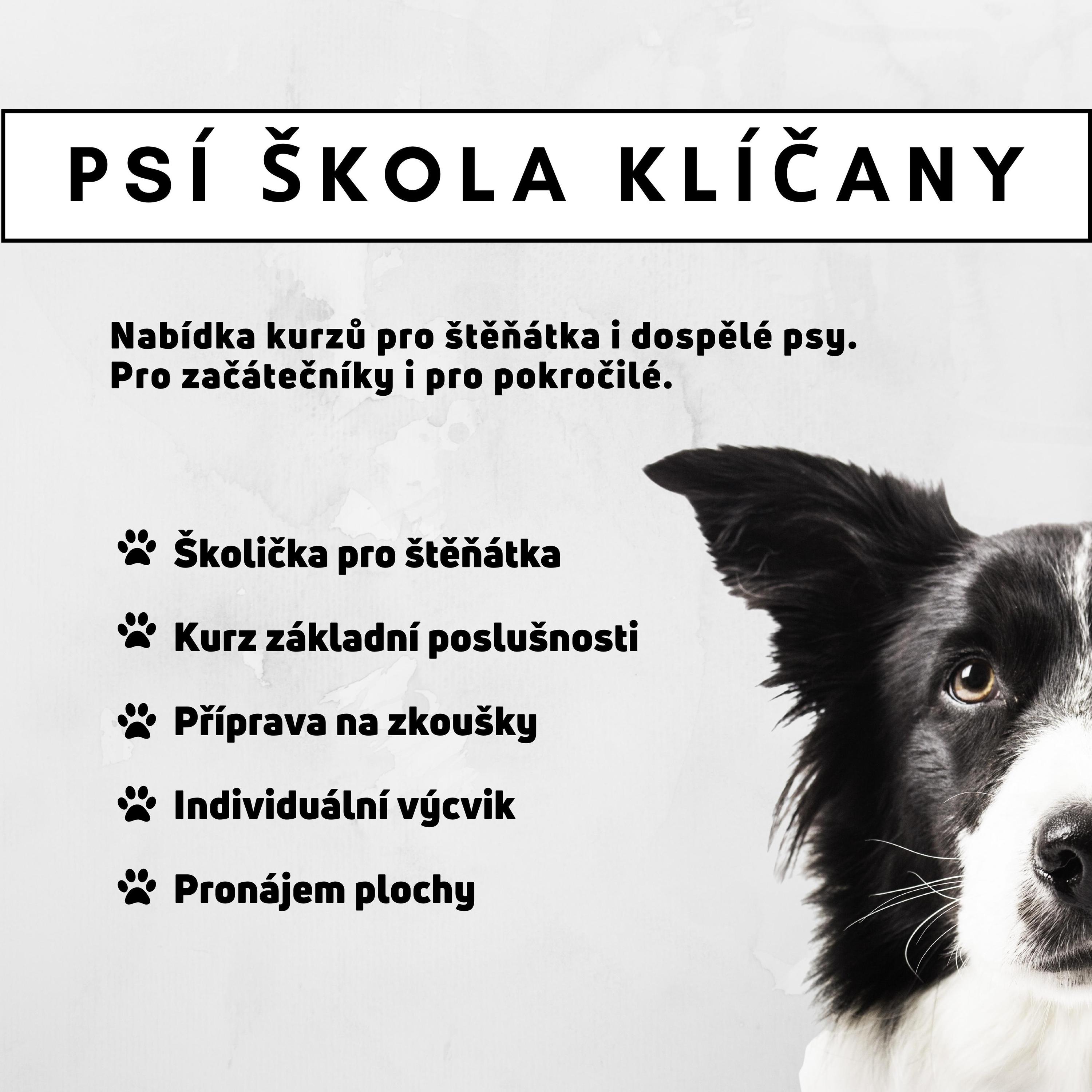 Psí škola Klíčany foto 1