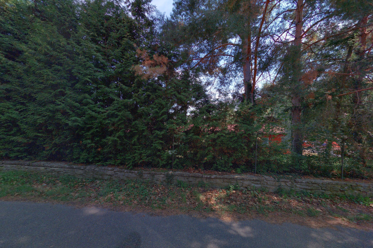 FURRY PETS cz foto 2