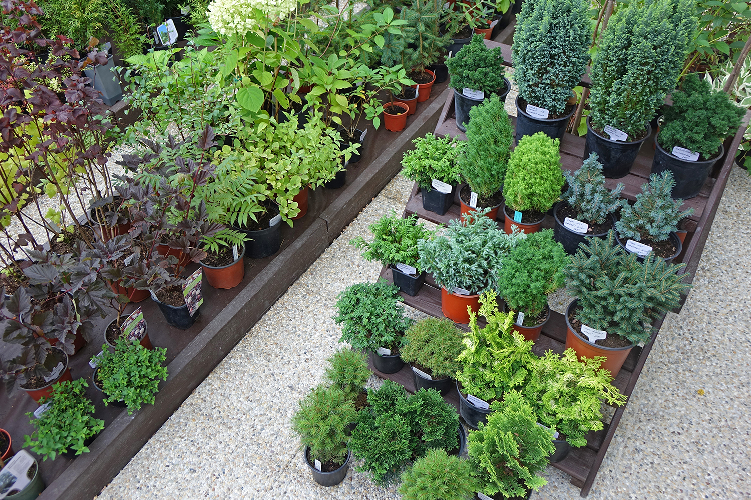 Zahrada Kdovíkde foto 4