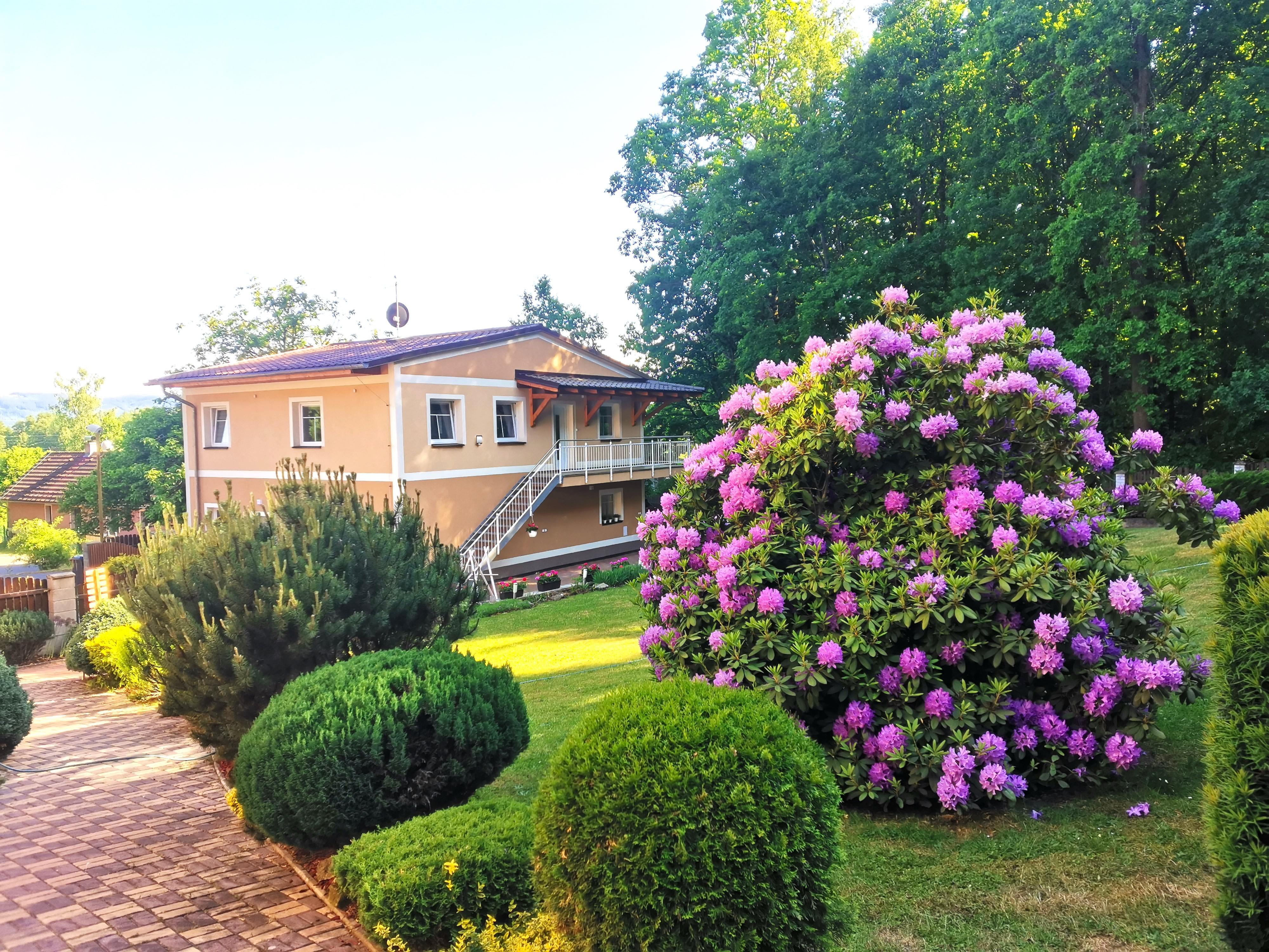 Terapie, poradenství a koučink - Eliška Boháčková foto 6