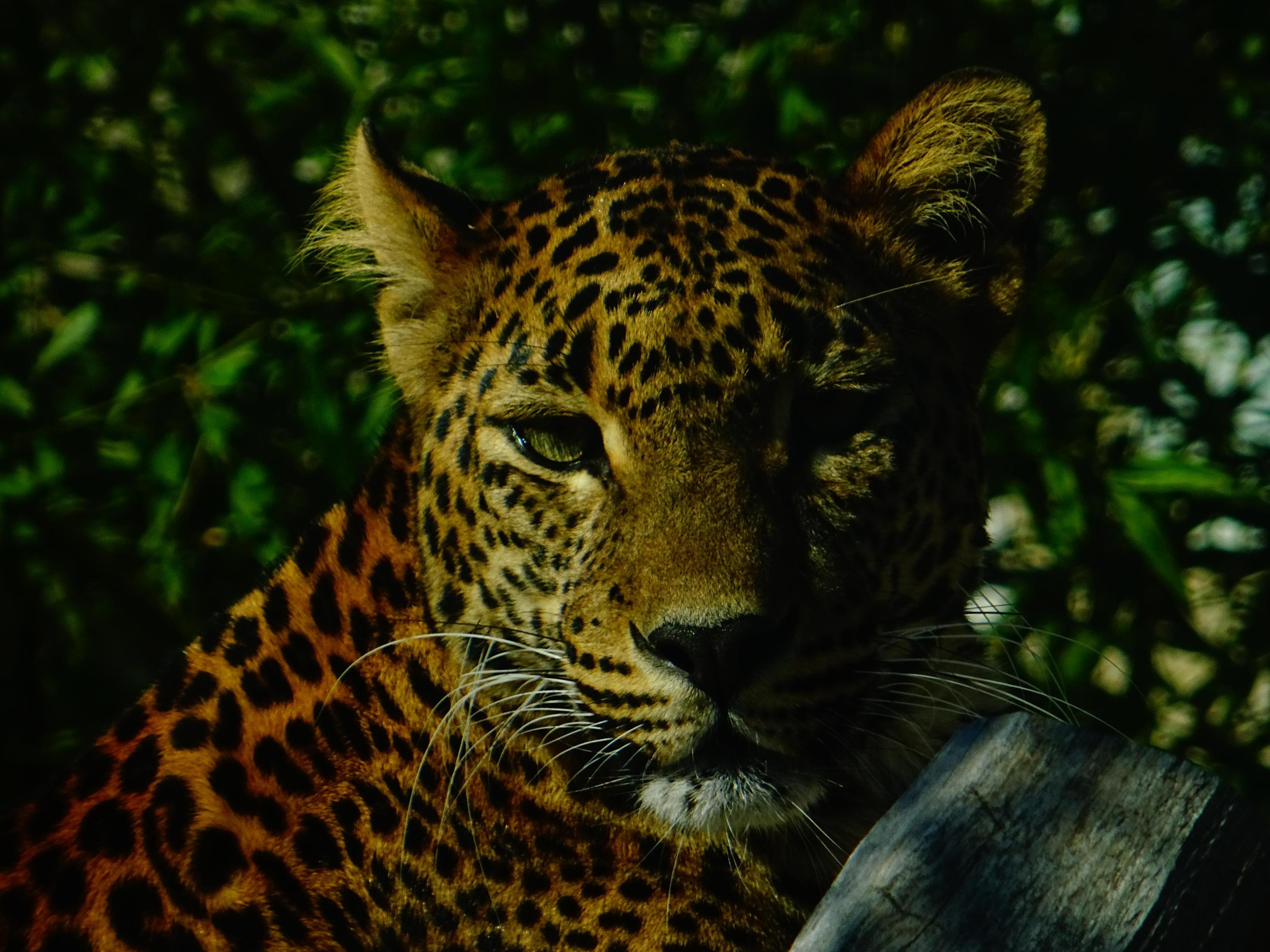 Zoologická zahrada Ústí nad Labem foto 5