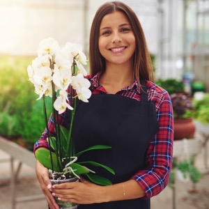 Flower wholesalers