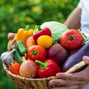 Fruit and vegetable farms