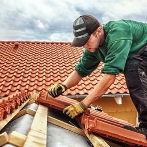 Carpentry, roofing and plumbing