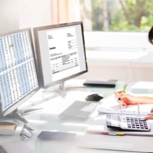 Sellers of financial and accounting software