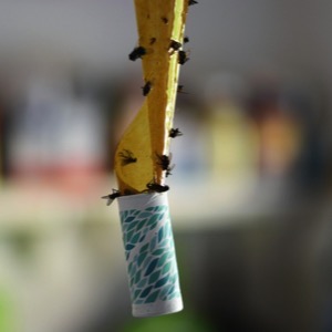 On-line prodej lapačů hmyzu a odpuzovačů hlodavců