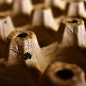 On-line prodej potravinářských obalů