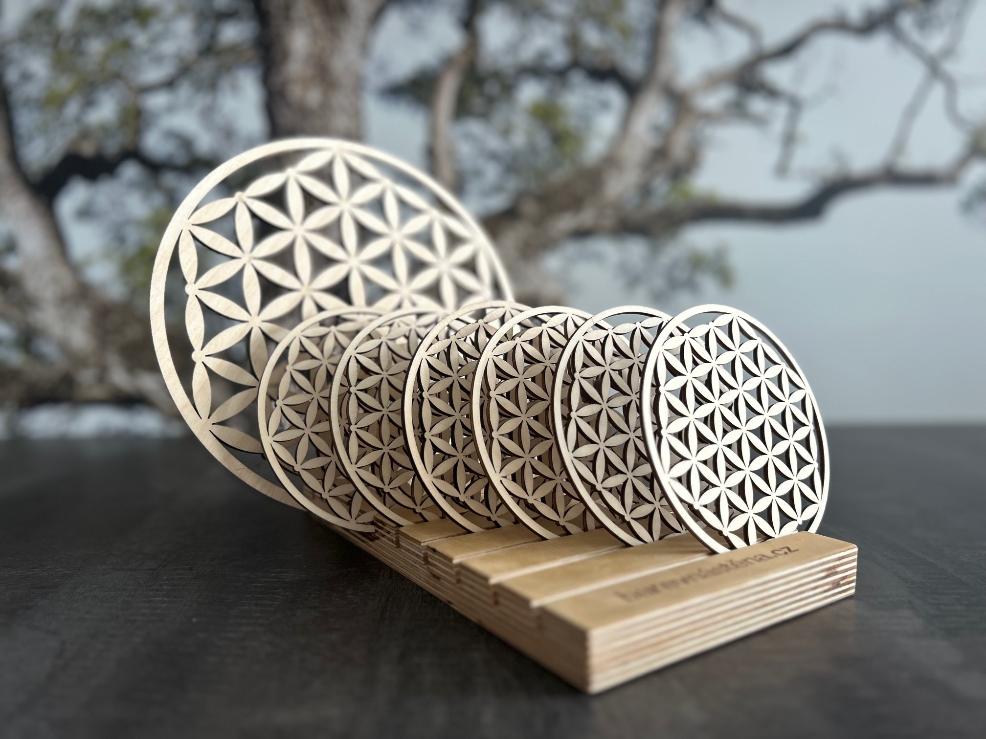 Drevoradosti.cz foto 4