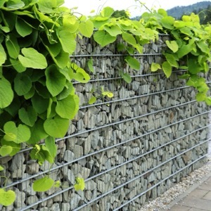 Sellers of gabion structures