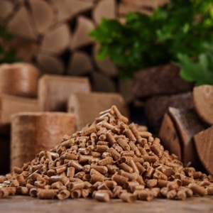 Producers of biomass and substrate