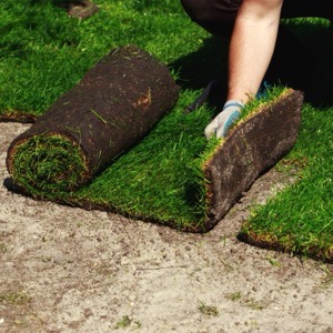 On-line prodej umělých trávníků a koberců