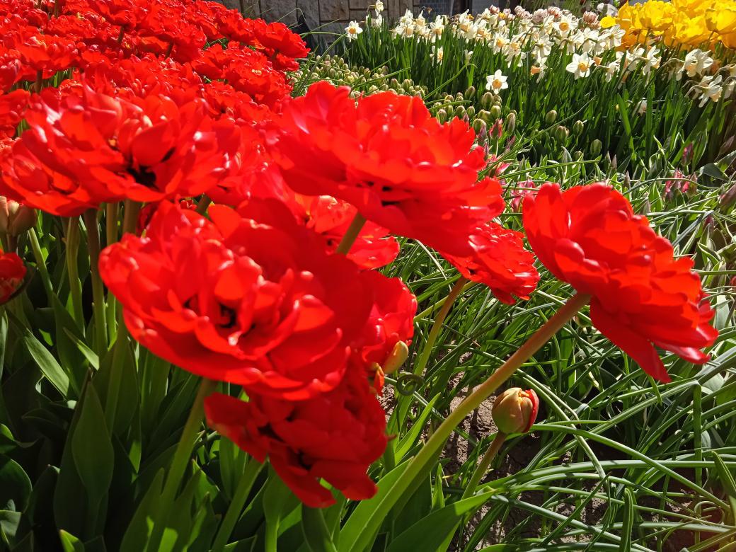 Rožnovská zahrada - Petr Míček foto 4