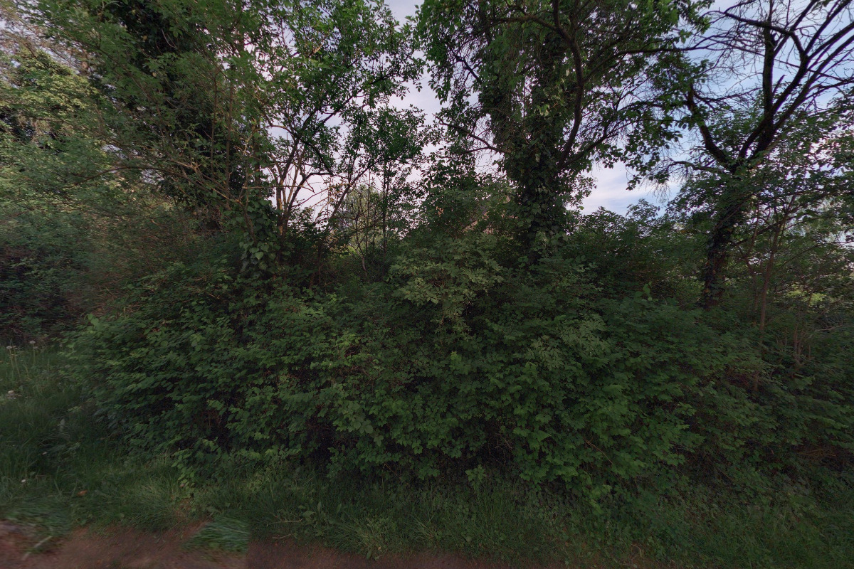 Snížit kultuře práh