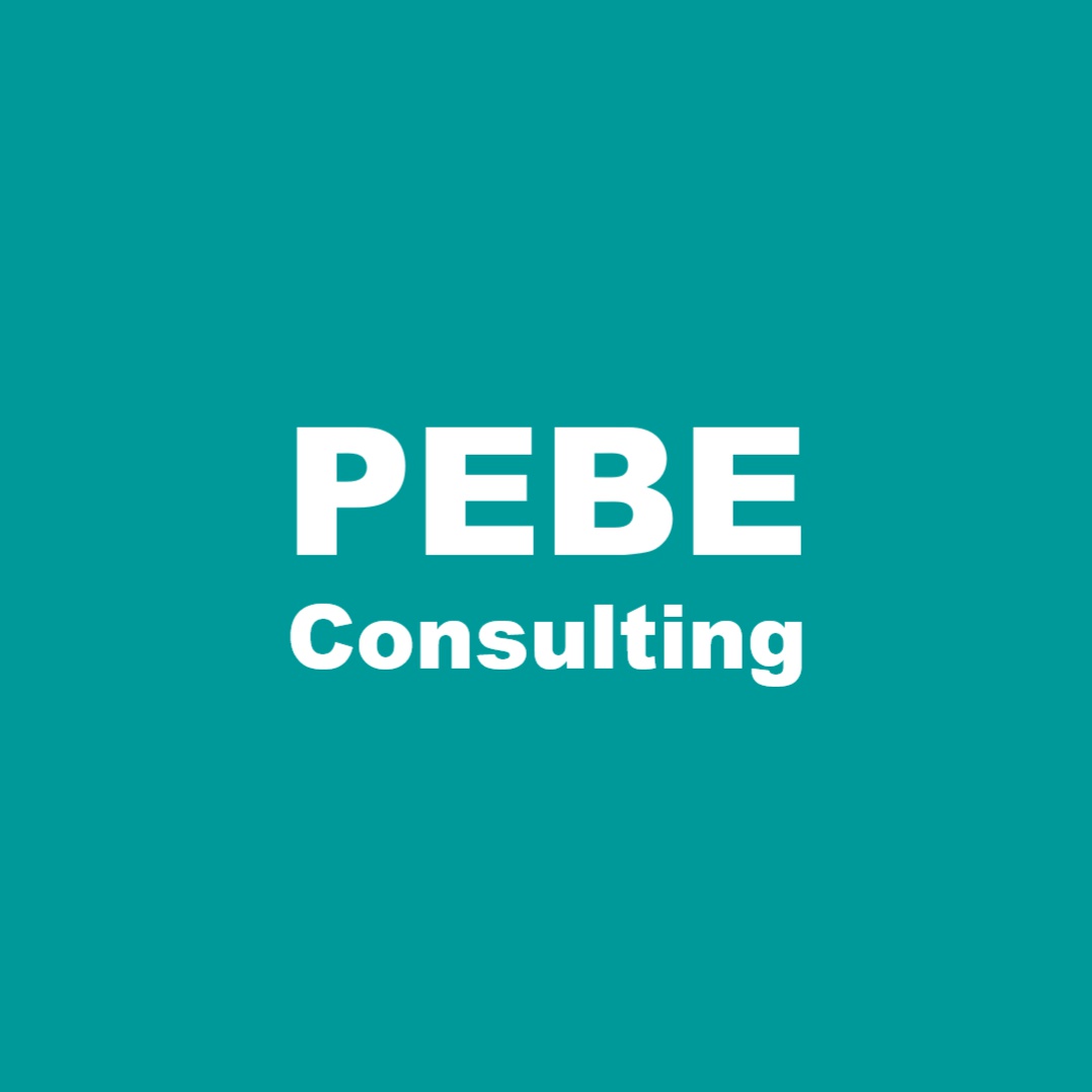PEBE Consulting foto 1