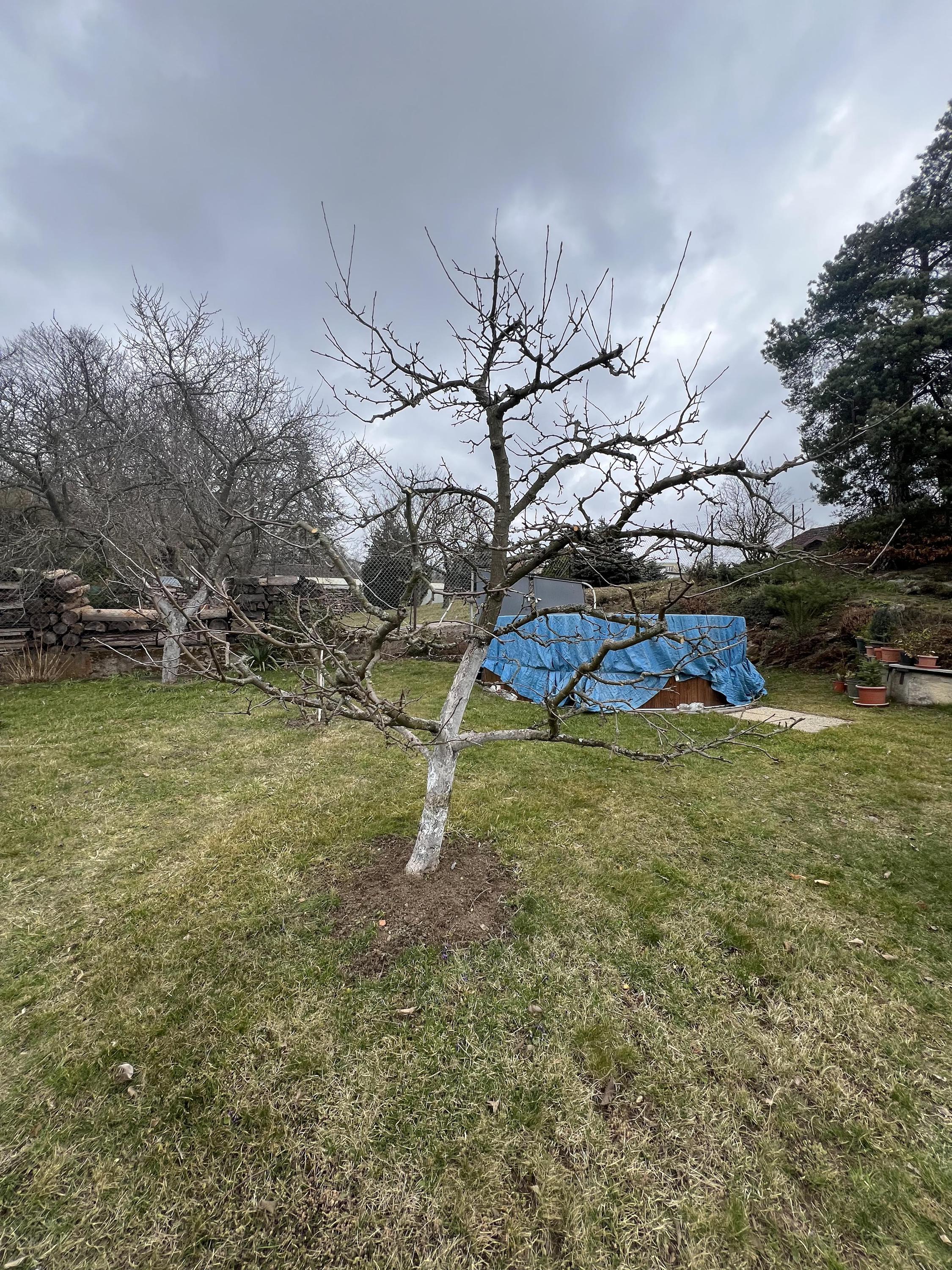 Vilém Sobotka - zahradnické práce foto 2