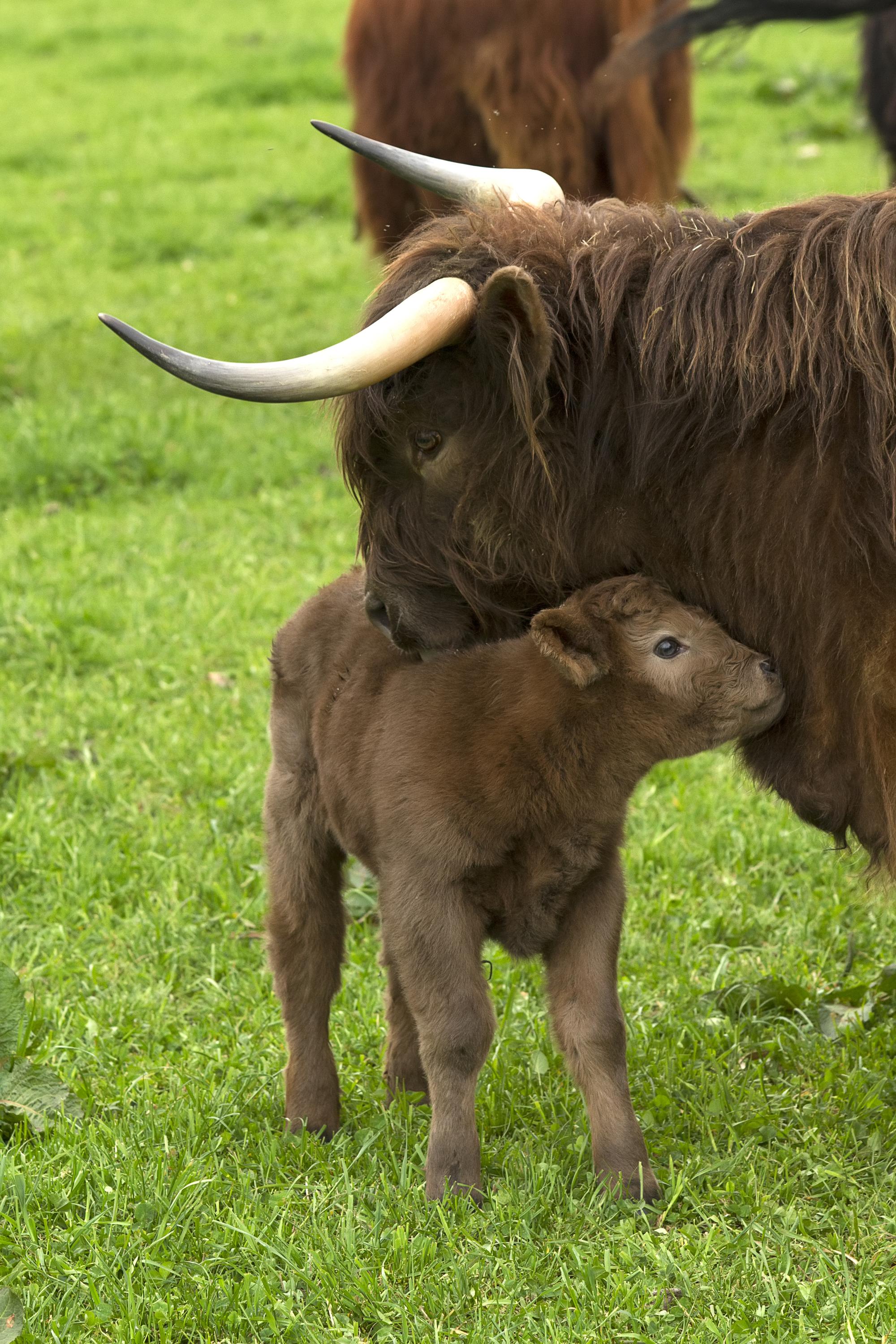 Farma Habřina foto 3
