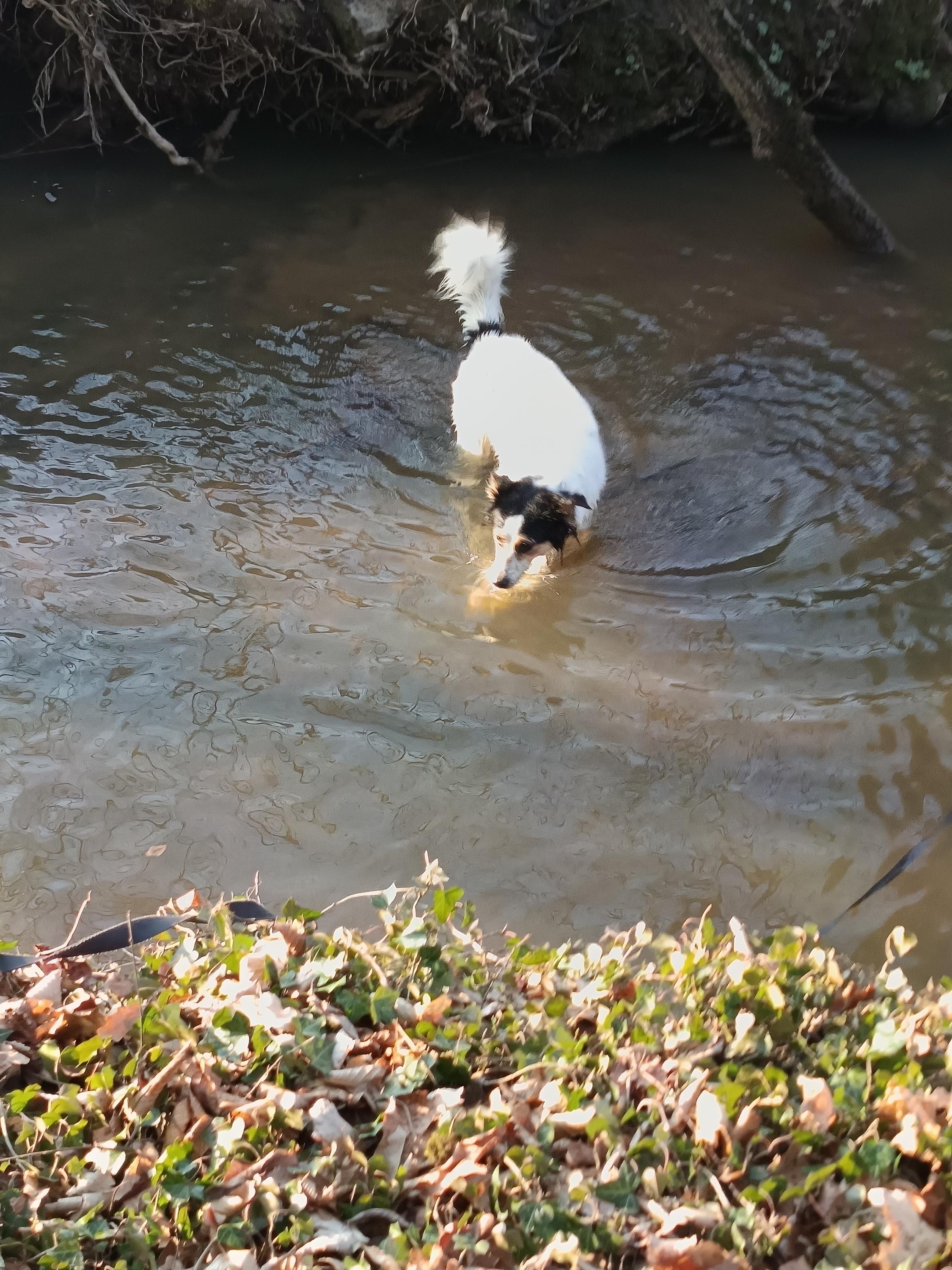 ZŠ Vratimov, Masarykovo náměstí foto 4