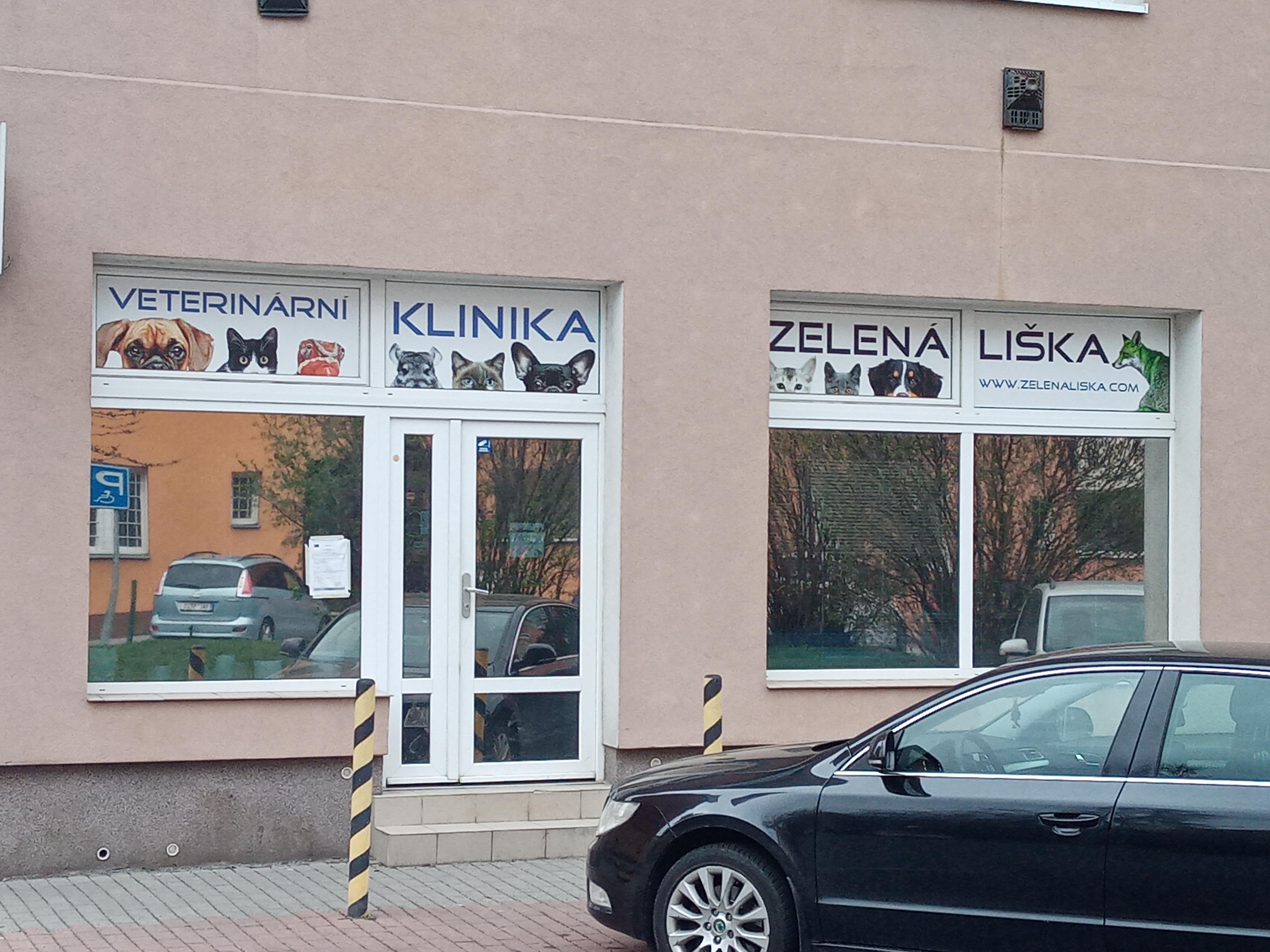Veterinární klinika zelená liška foto 5