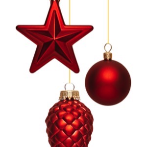 Prodej vánočních ozdob a stromků