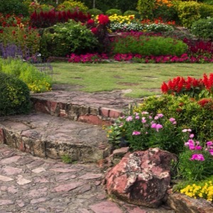 Garden design and build