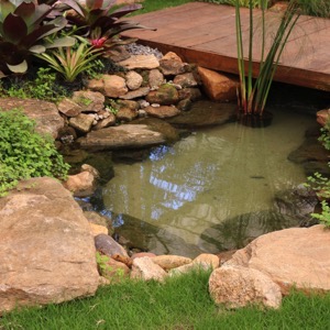 Prodej přírodního kamene