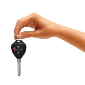 Online sellers of car security systems