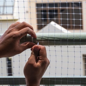 Ochrana proti ptactvu