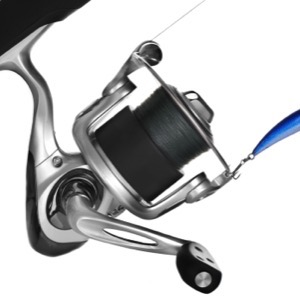 Online sellers of hunting and fishing supplies