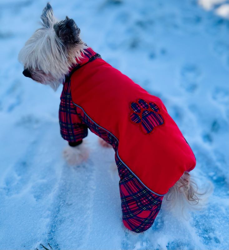 Monťásek - Moni foto 4