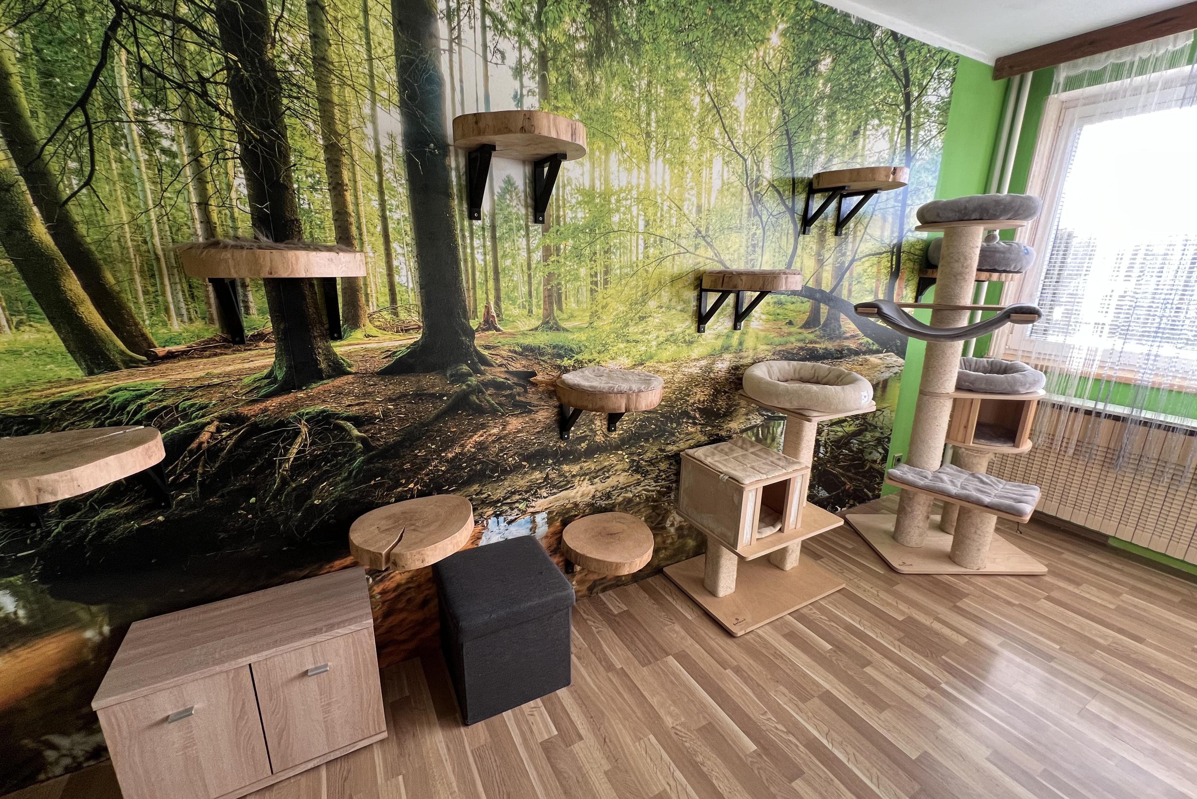 Hotel pro kočky Mazlík