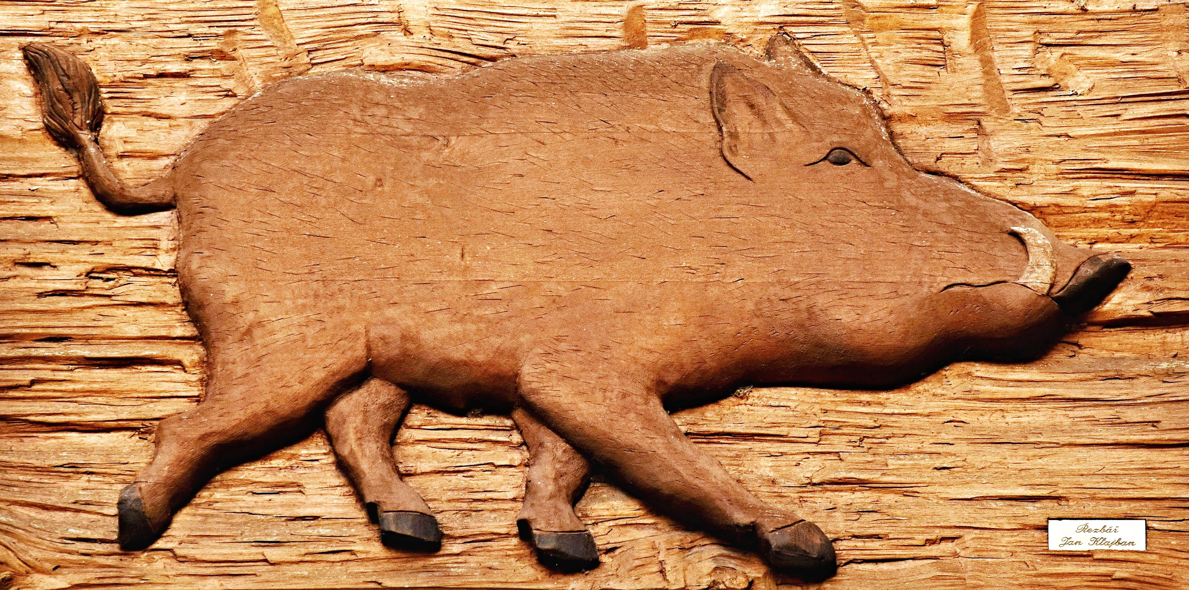 U Divokého kance foto 3